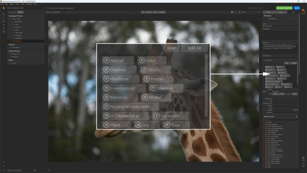 与主流照片管理软件兼容